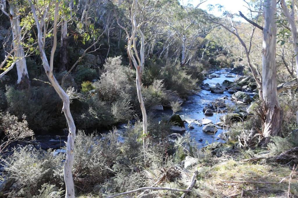 Big Yard Escapes - Two Off-Grid Tiny Houses On The Mowamba River Jindabyne Eksteriør billede