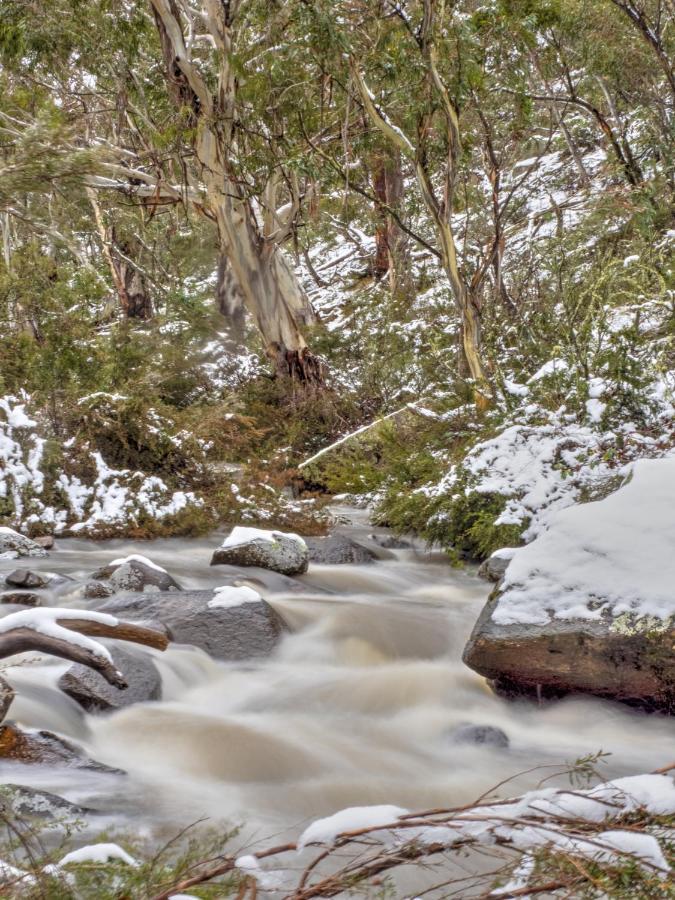 Big Yard Escapes - Two Off-Grid Tiny Houses On The Mowamba River Jindabyne Eksteriør billede