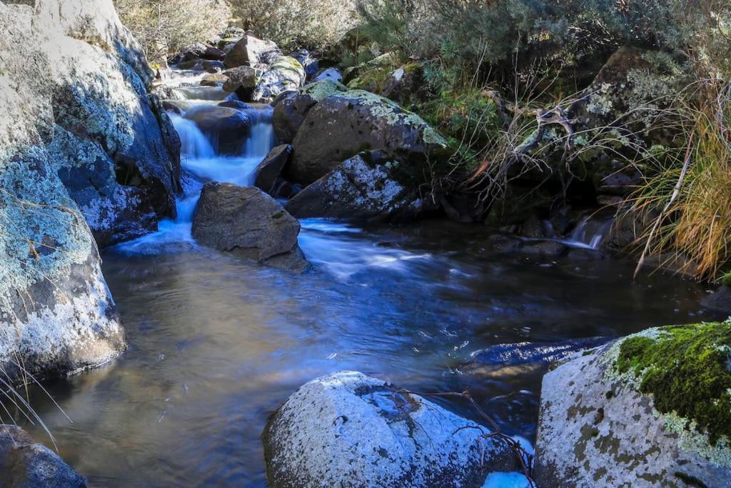Big Yard Escapes - Two Off-Grid Tiny Houses On The Mowamba River Jindabyne Eksteriør billede