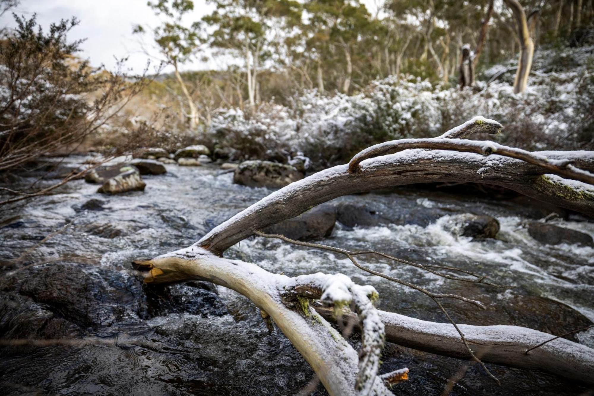 Big Yard Escapes - Two Off-Grid Tiny Houses On The Mowamba River Jindabyne Eksteriør billede